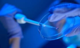Flyers / Forensic & Toxicology